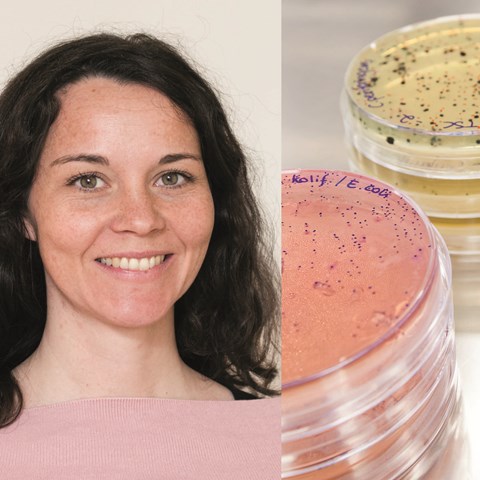 Woman and petri dishes