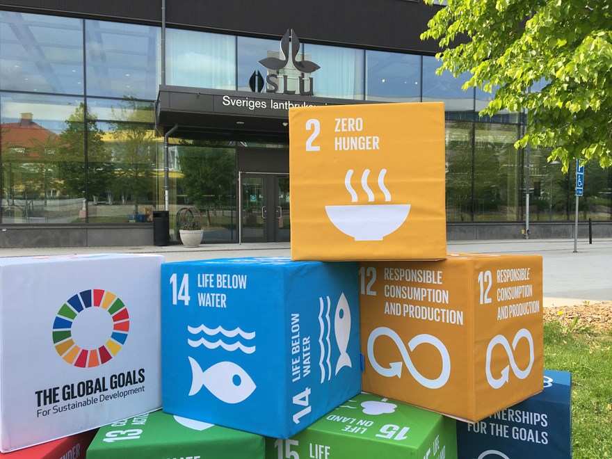 SDG-cubes in front of the main entrance