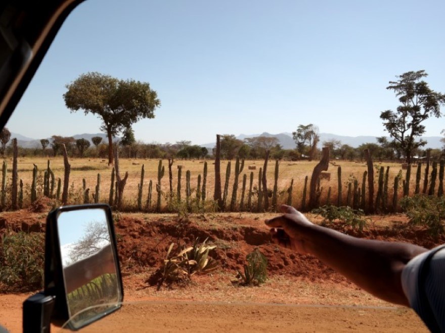 Hand pointing out of a car window
