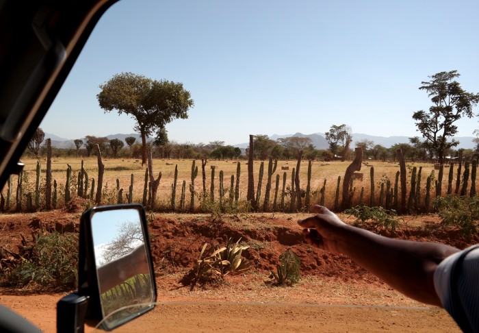 Landscape in Africa