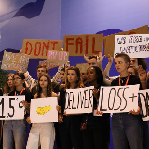Aktivister på COP27 håller i skyltar