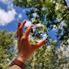 Hand helds glass ball with blue sky and trees behind