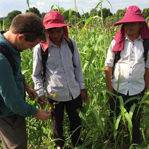 Three people investigate a field in Cambodja