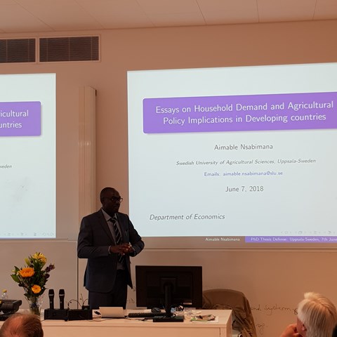 Defend phd thesis
