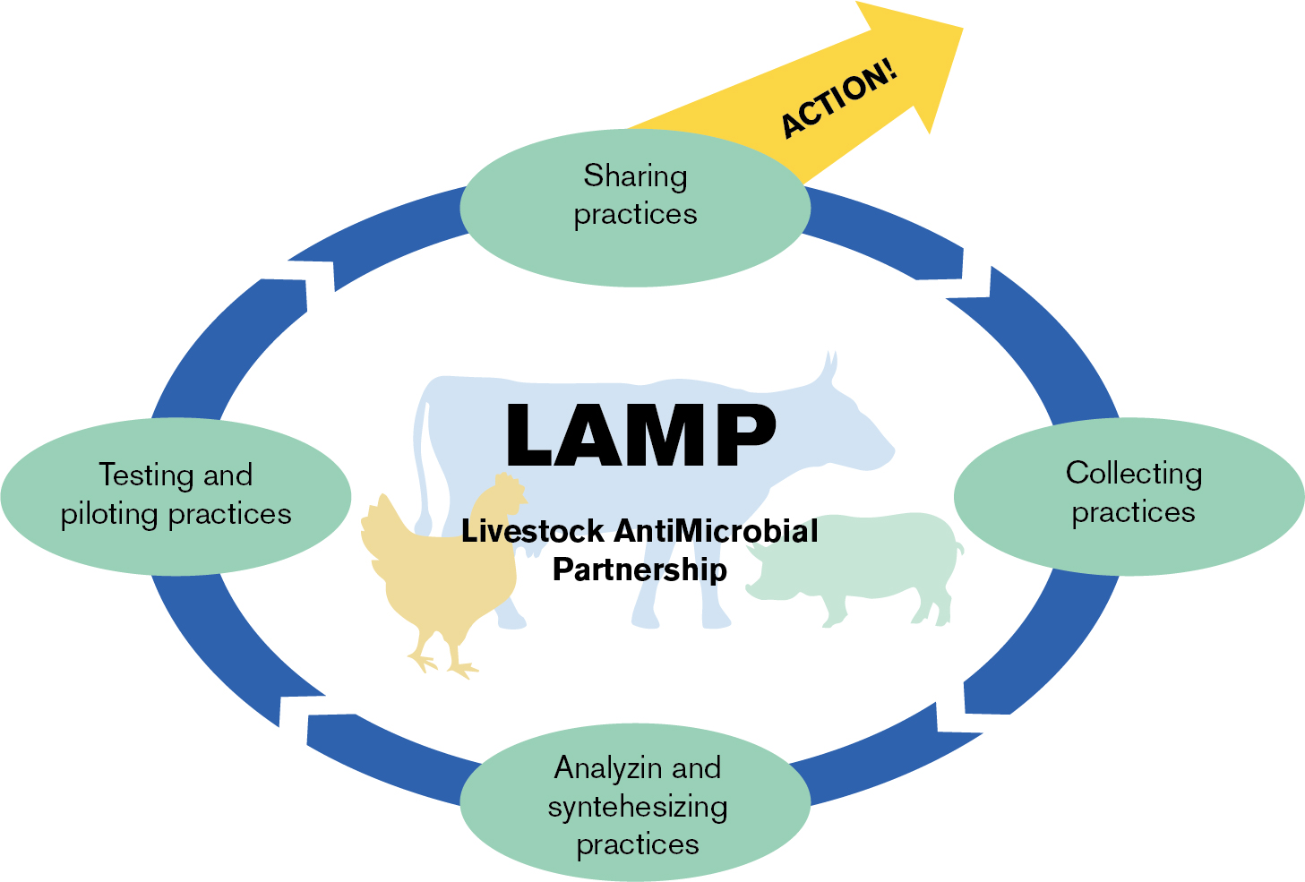 A picture of the different parts in the LAMP-project, illustration.