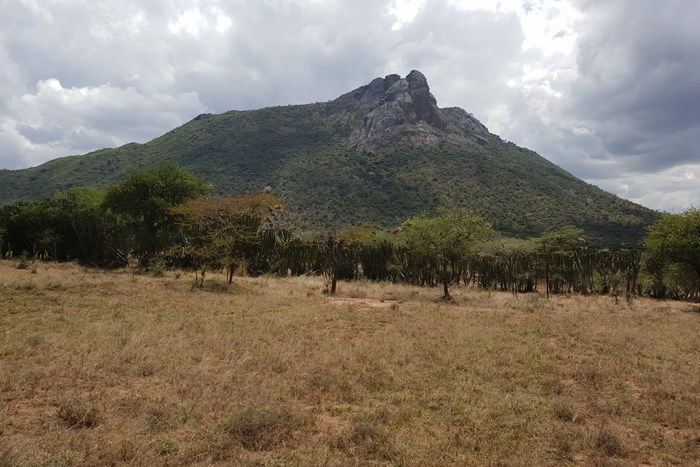 A hill, area with grass that is fenced and scattered trees during dry season.