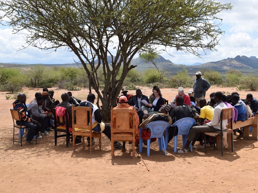 People in a meeting under a tree in Kenya.