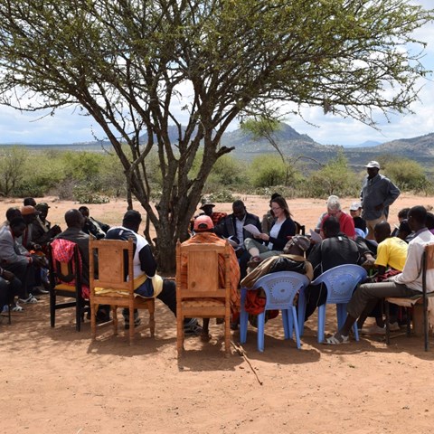 People in a meeting under a tree in Kenya.