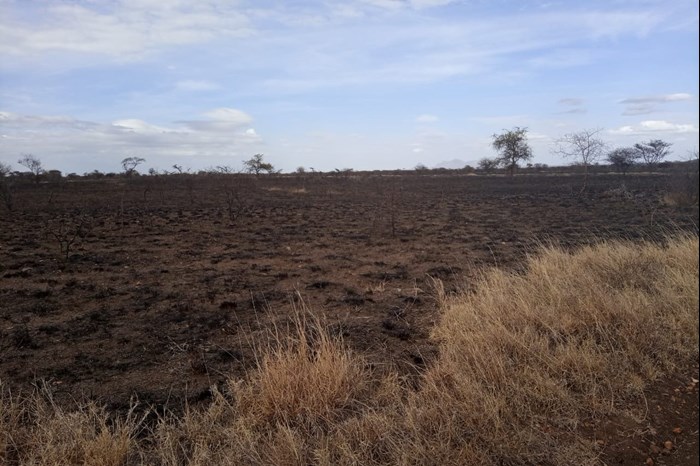 Burnt land after controlled fires.
