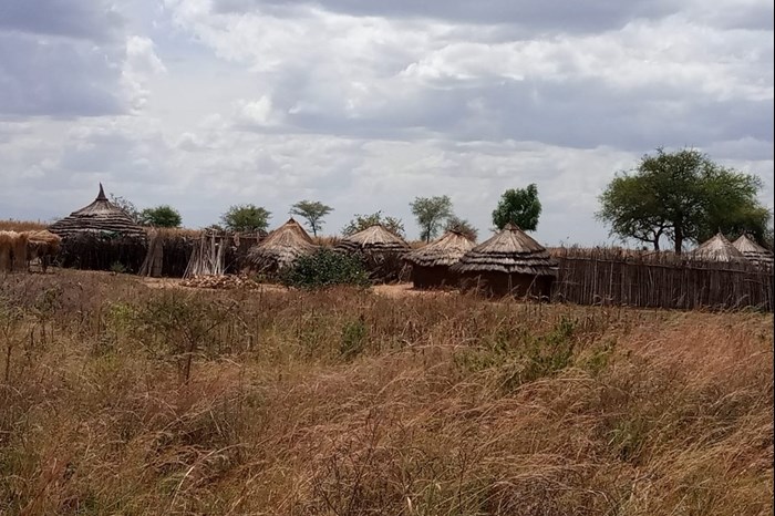 A fenced homestead with several houses in Napak District Uganda.