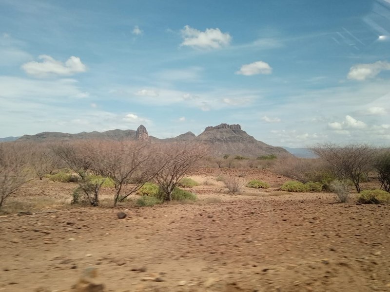 Dry landscape with a few trees in front of a hill in Turkana.