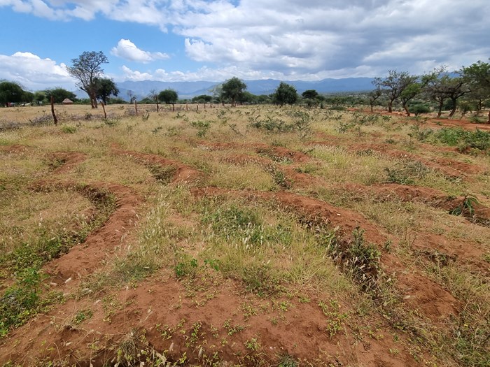 Erosionshindrande strukturer har börjat göra verkan i Chepareria Kenya