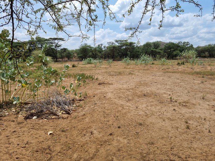 Torrt landskap i Lokiriama Kenya