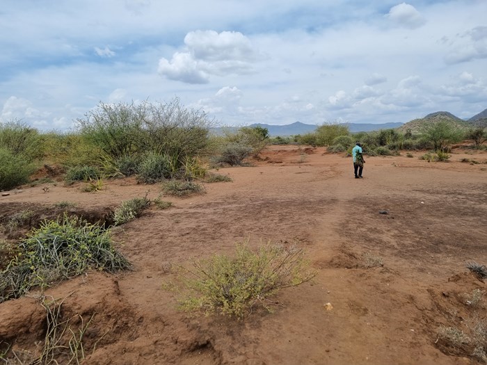 Dry landscape in Lokiriama Kenya