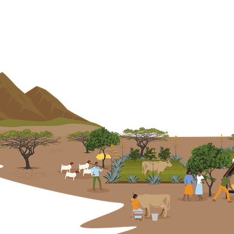Illustration of a green lush area for livestock surrounded by drylands.