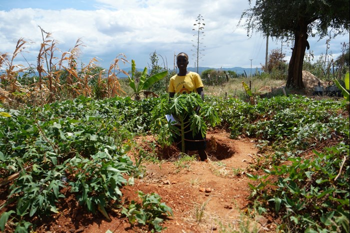 Woman in a circle of crops and a tree in the middle