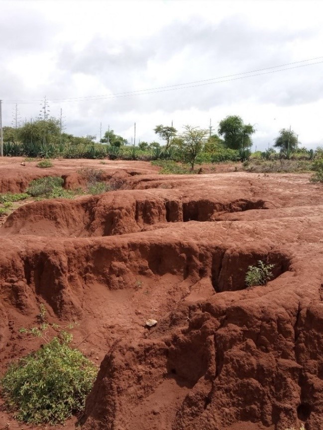 Eroded landscape