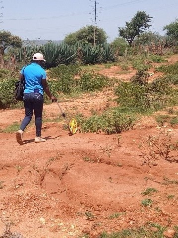 Woman measuring an eroded landscape