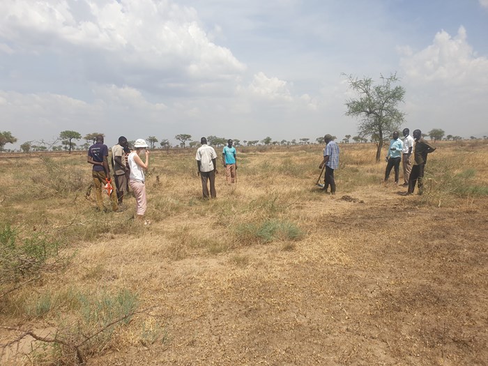 Some researchers in a dry grassland in Uganda