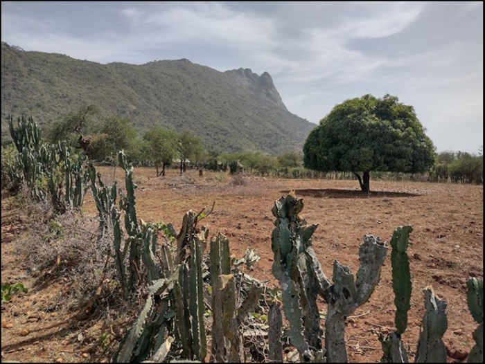 dry enclosed landscape