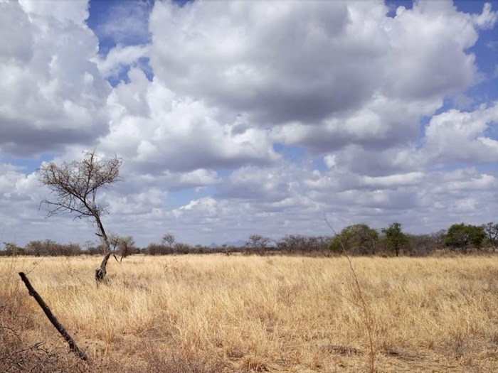 Grazing areas in Moroto district Uganda.