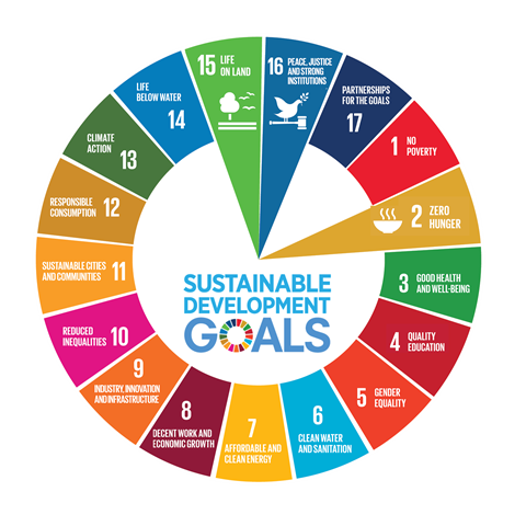 A circle showing the global sustainable development goals.