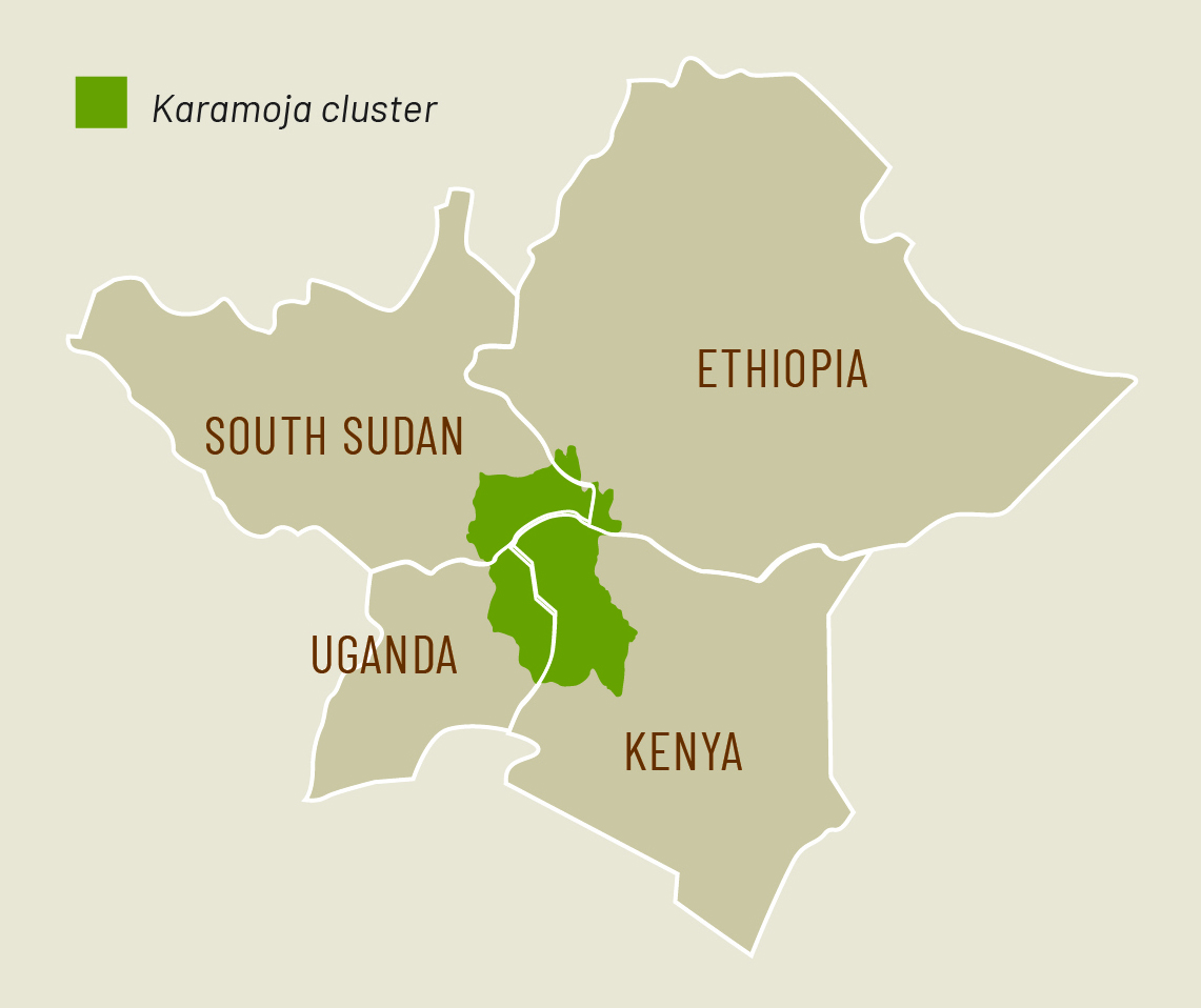 Karamoja cluster