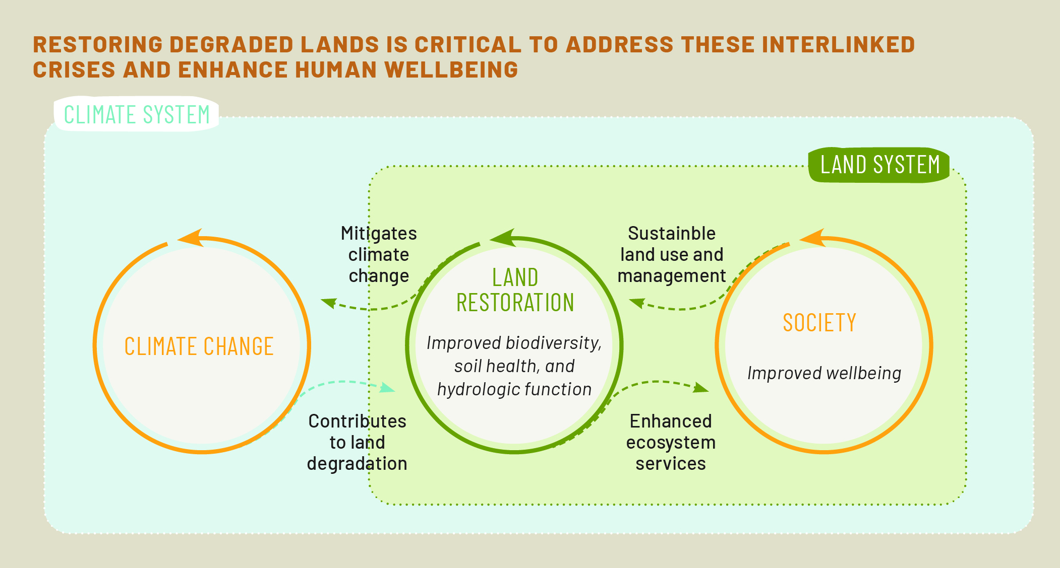 Land restoratio