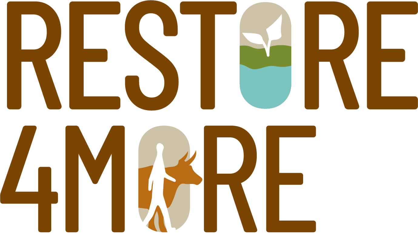 Restore4More Logo.png