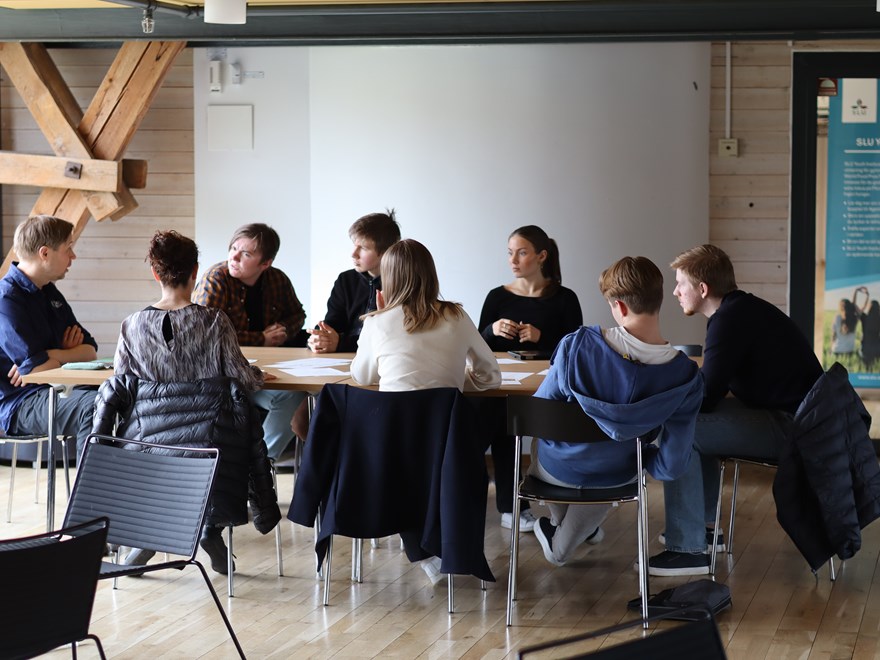 Youth in round table discussions