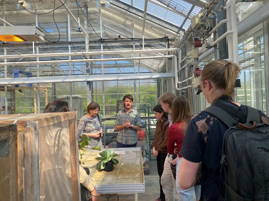 persons looking at plant in greenhouse