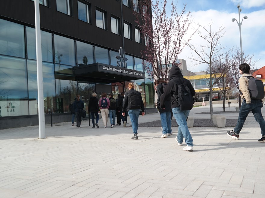 Students walking up a stair outside at campus