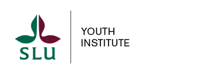 SLU YI
