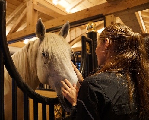 En häst och en person i ett stall. Foto.
