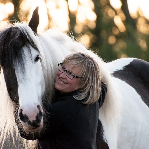 Horse and woman