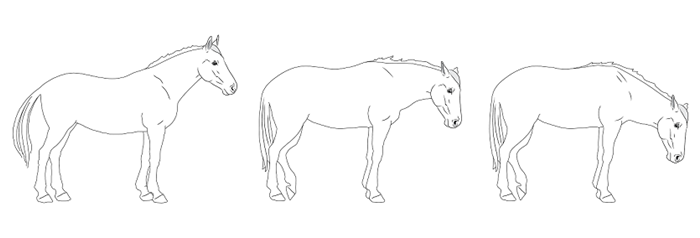 Illustration showing horses in painpain