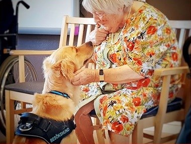 Lady and visiting dog at home for elderly
