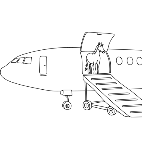 Teckning av häst i flygplan