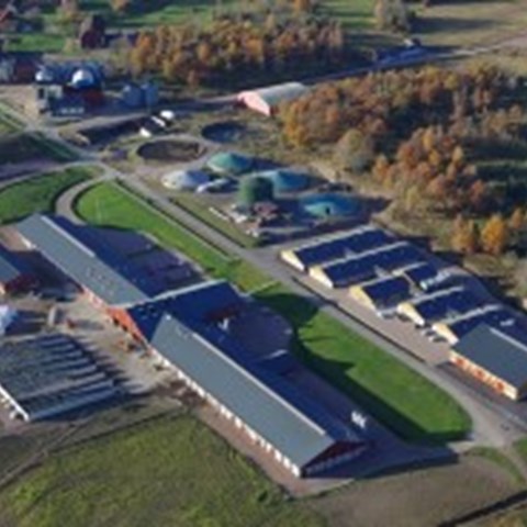 Aerial over the Swedish livestock research center, SLU. photo