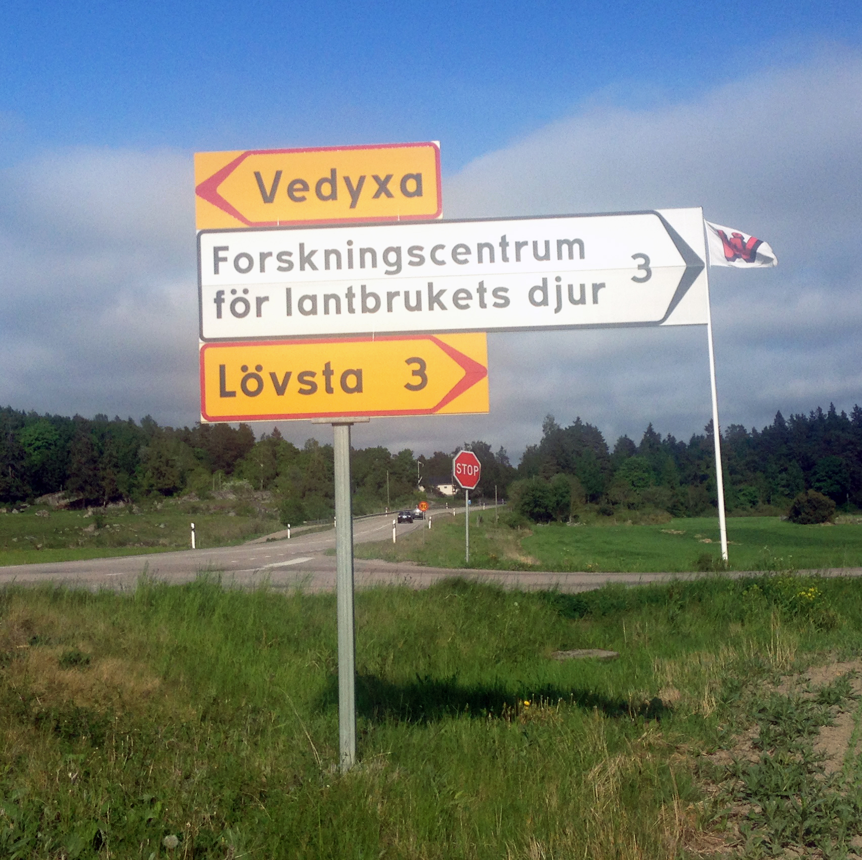 Road sign towards the Swedish livestock research centre. Photo