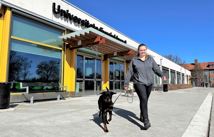 A dogowner with her dog, walking home after seing the veterinary.