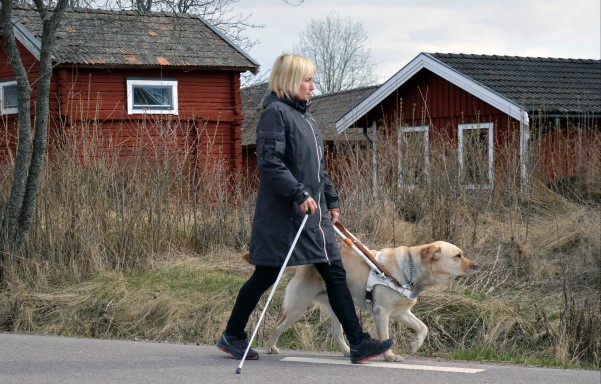 Kvinna med ledarhund