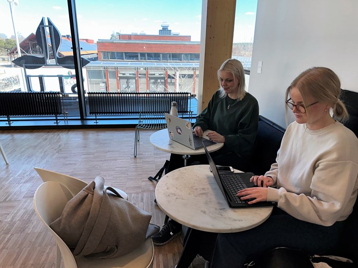 Två studenter pluggar tillsammans i Ulls hus i Uppsala.