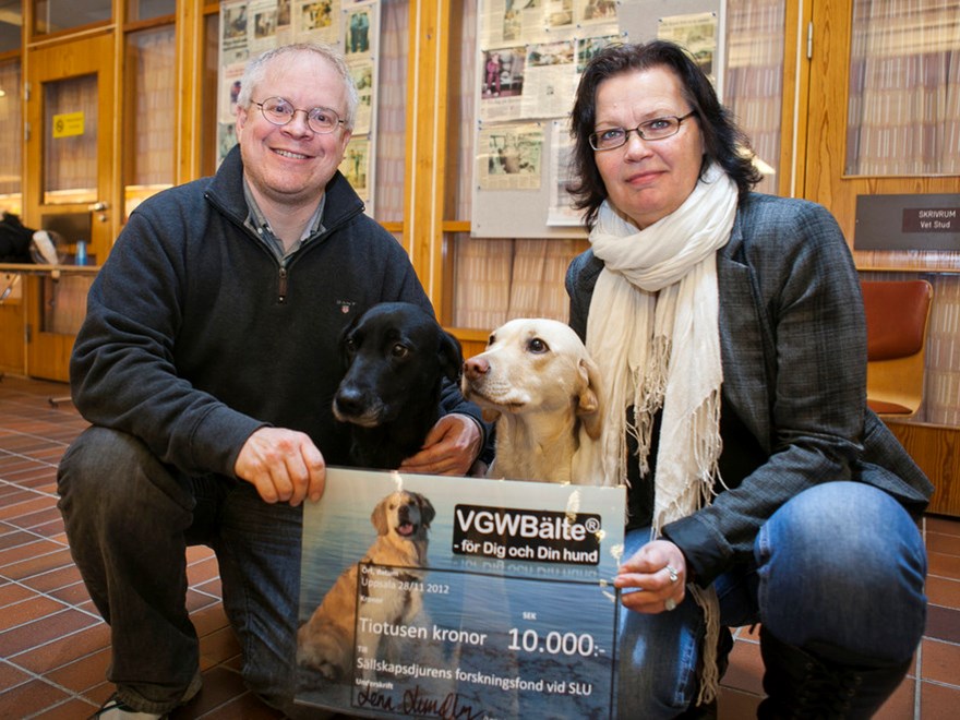 En man och en kvinna står på huk med två hundar mellan sig. Foto.
