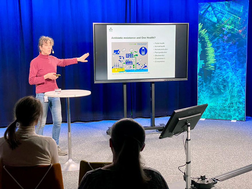 En kvinna står och föreläser för publik i en studio. 