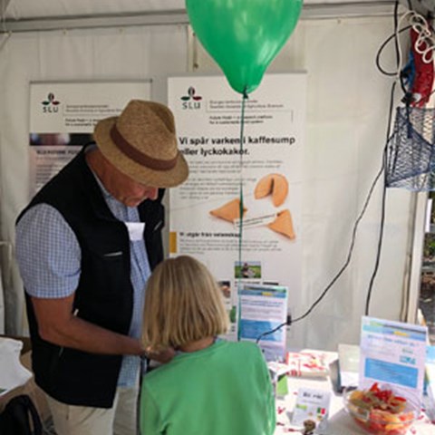 Researchers meet the public in one of SLU's tents in connection with the food event Matologi in Stockholm. Photo.