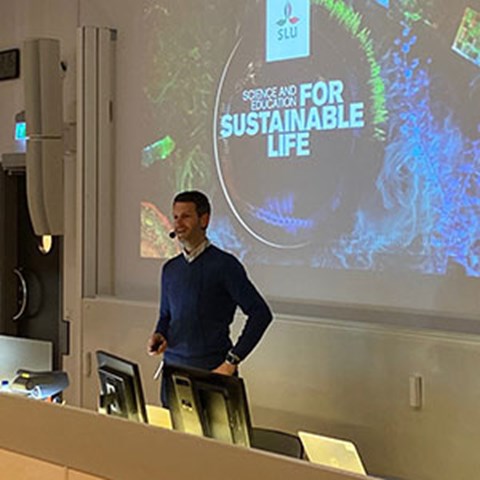 SLU researcher Markus Langeland gives a presentation, behind him you see a power point image on full screen. Photo.