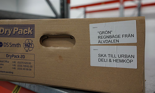 En stor kartong packad med regnbågslax. Foto.