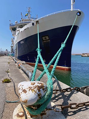 Forskningsfartyg för miljövervakning som ligger i en hamn. Foto.