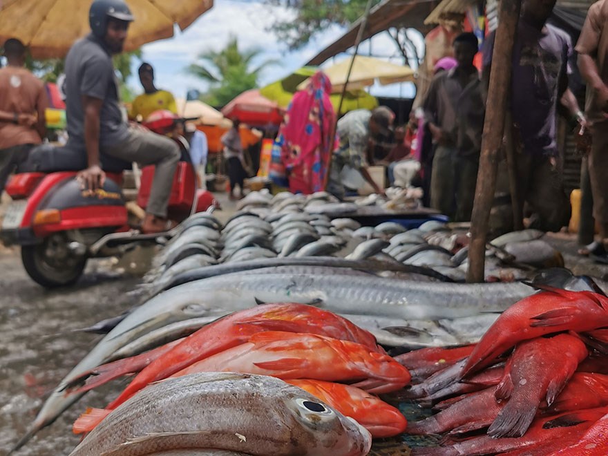 A fish market in Tanzania, in the background you can see people visiting the market. Photo.